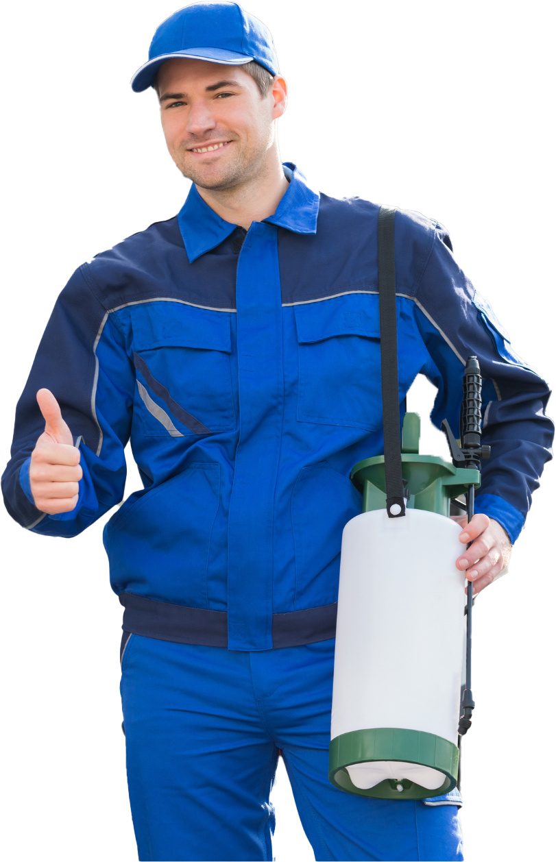 pest control guy